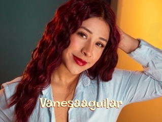 Vanesaaguilar
