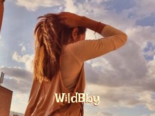WildBby