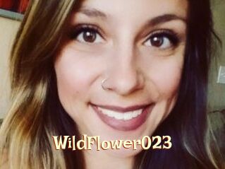 WildFlower023