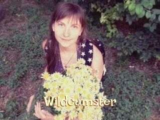 Wildcumster