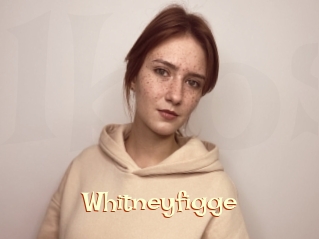 Whitneyfigge