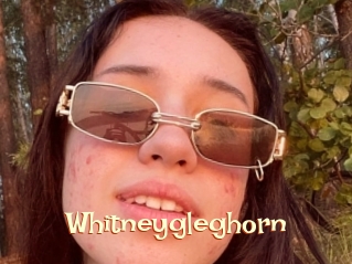 Whitneygleghorn