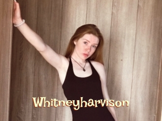 Whitneyharvison