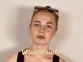 Wilonacaudle