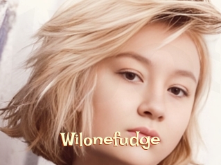Wilonefudge