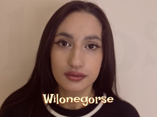 Wilonegorse