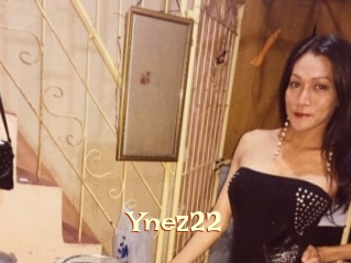 Ynez22