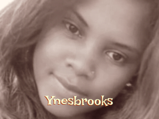 Ynesbrooks