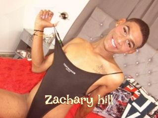 Zachary_hill