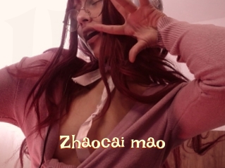 Zhaocai_mao